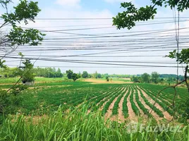  Land for sale in Muang Wan, Khon Kaen, Muang Wan, Nam Phong
