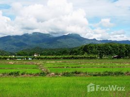 清莱 Pong Phrae Incredible Mountain Views for Sale 1 Rai N/A 土地 售 
