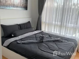 อพาร์ทเม้นท์ 1 ห้องนอน ให้เช่า ในโครงการ พลัส คอนโด 2, กะทู้, กะทู้, ภูเก็ต, ไทย