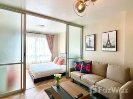 1 Bedroom Condo for rent at D Condo Kathu-Patong, Kathu, Kathu