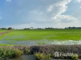  토지을(를) Ang Thong에서 판매합니다., Phai Wong, Wiset Chai Chan, Ang Thong