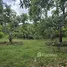  Land for sale in Sam Roi Yot, Hua Hin, Sam Roi Yot, Sam Roi Yot
