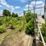  Земельный участок for sale in Bang Khu Wiang, Нонтабури, Bang Khu Wiang, Bang Kruai, Нонтабури