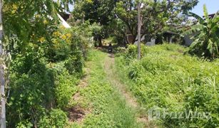 2 Bedrooms House for sale in Tha Thung Luang, Lamphun 