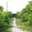  Terrain for sale in An Giang, Dinh Thanh, Thoai Son, An Giang