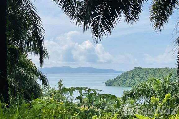 Land for sale In Pa Khlok Phuket