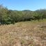  Land for sale in Santa Cruz, Guanacaste, Santa Cruz