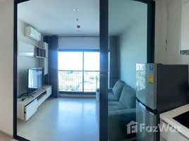 1 Bedroom Condo for rent at Life Sukhumvit 48, Phra Khanong, Khlong Toei