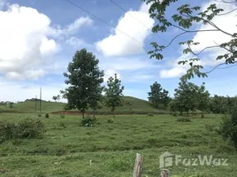  Terreno (Parcela) en venta en Puntarenas, Parrita, Puntarenas