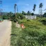  Land for sale in Kamala, Kathu, Kamala