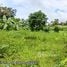  Land for sale in Shan, Kalaw, Taunggye, Shan