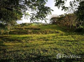  Grundstück zu verkaufen in Tilaran, Guanacaste, Tilaran