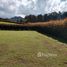  Land for sale at Aspen Hills, Rionegro, Antioquia, Colombia
