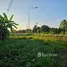  Land for sale in Pa Tum, Chiang Mai, Pa Tum, Phrao, Chiang Mai