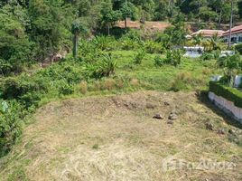  Land for sale in Kathu, Phuket, Kamala, Kathu
