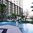 1 chambre Appartement à vendre à The Parkland Srinakarin Lakeside., Samrong Nuea, Mueang Samut Prakan, Samut Prakan, Thaïlande