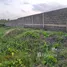  Land for sale in Dangbe West, Greater Accra, Dangbe West, Greater Accra, Ghana