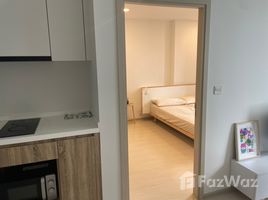 1 Bedroom Apartment for rent at Noble Ambience Sukhumvit 42, Phra Khanong