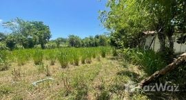 Verfügbare Objekte im Puerto Plata