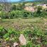  Land for sale in Maenam, Koh Samui, Maenam