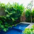 3 Habitación Villa en alquiler en Denpasar Selata, Bali, Denpasar Selata, Denpasar, Bali