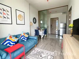 1 спален Кондо в аренду в Rhythm Ekkamai Estate, Khlong Tan Nuea, Щаттхана, Бангкок, Таиланд