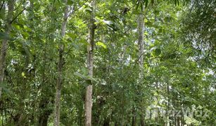 N/A Land for sale in Lae, Nan 