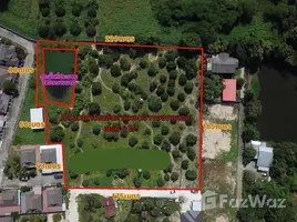  Land for sale in Chiang Mai, San Klang, San Kamphaeng, Chiang Mai