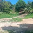  Land for sale in Koh Phangan Surat Thani, Koh Phangan, Koh Phangan, Surat Thani