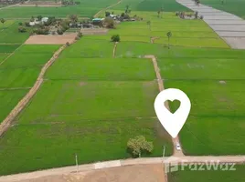  Grundstück zu verkaufen in Sao Hai, Saraburi, Hua Pluak, Sao Hai, Saraburi, Thailand