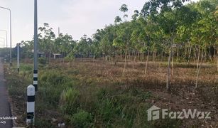N/A Grundstück zu verkaufen in Wang Wa, Rayong 