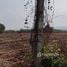  Land for sale in Phitsanulok, Wang Thong, Wang Thong, Phitsanulok