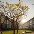在Dcondo Campus Resort Chiang-Mai出售的1 卧室 公寓, Suthep, 孟清迈, 清迈