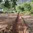  Land for sale in Surat Thani, Maret, Koh Samui, Surat Thani