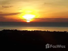 ขายที่ดิน ใน อ่างทอง, สุราษฎร์ธานี, อ่างทอง, เกาะสมุย, สุราษฎร์ธานี, ไทย