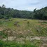  Terreno (Parcela) en venta en Tailandia, Maenam, Koh Samui, Surat Thani, Tailandia