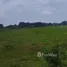  Grundstück zu verkaufen in Lubao, Central Luzon, Lubao, Pampanga, Central Luzon, Philippinen