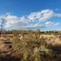  Land for sale in Argentina, Las Heras, Mendoza, Argentina