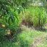  Terreno (Parcela) en venta en Costa Rica, Esparza, Puntarenas, Costa Rica