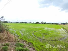  Terreno (Parcela) en venta en Saraburi, Nong Khaem, Nong Khae, Saraburi