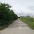  Land for sale in Nakhon Pathom, Khlong Yong, Phutthamonthon, Nakhon Pathom