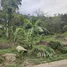  Land for sale in Phuket Town Phuket, Chalong, Phuket Town, Phuket