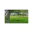  Land for sale in Pivijay, Magdalena, Pivijay, Magdalena, Colombia