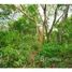  Land for sale in Bay Islands, Roatan, Bay Islands