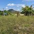  Земельный участок for sale in Tha Sut, Чианг Рай, Tha Sut, Mueang Chiang Rai, Чианг Рай