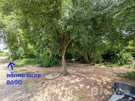 ขายที่ดิน ใน หัวทะเล, นครราชสีมา, หัวทะเล, เมืองนครราชสีมา