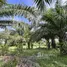  Land for sale in Taling Chan, Krabi, Taling Chan