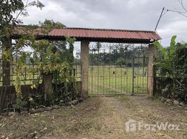 Limon Mountain Agricultural Land For Sale in Siquirres, Siquirres, Limón N/A 土地 售 