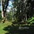  Terrain for sale in Golfito, Puntarenas, Golfito