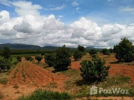 Loei で売却中 土地区画, フォンソン, ダンサイ, Loei